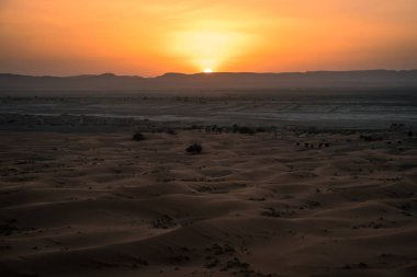 Sahra çölü manzarası, gün batımında kum tepeleri
