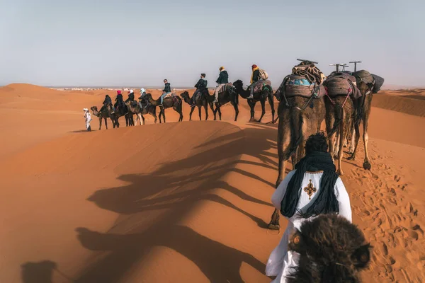Καραβάνι Καμήλας Που Περπατάει Αμμόλοφους Τοπίο Της Ερήμου Σαχάρα — Φωτογραφία Αρχείου