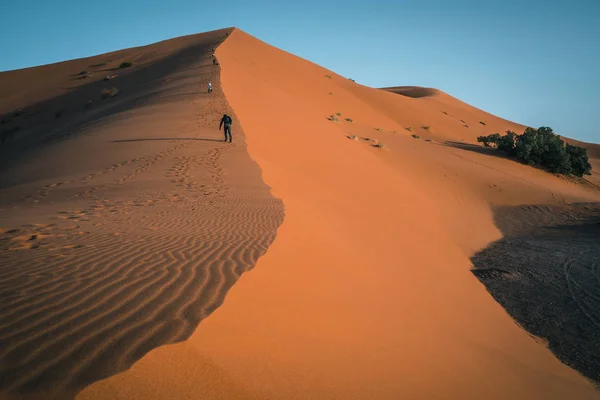 Człowiek Walking Wydmy Sahara Krajobraz Pustyni — Zdjęcie stockowe
