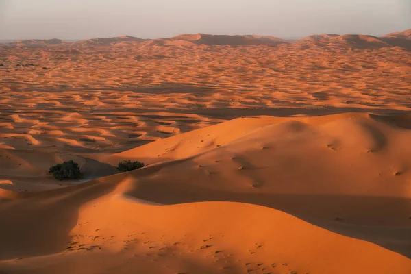 Sahara Desert Landscape Sand Dunes — Stock Photo, Image