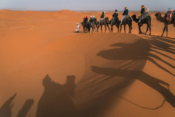 Caravana Camelo Caminhando Sobre Dunas Areia Paisagem Deserto Saara — Fotografia de Stock