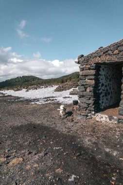 Dağlardaki bir kır evinin yanında bir köpek.