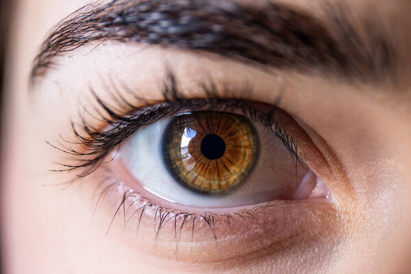 закрыть глаза на красивую женщину с карими глазами
