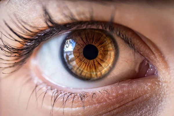 Bruin Oog Van Een Mooie Vrouw Close — Stockfoto