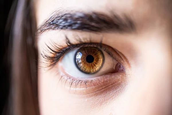 Brown Eye Beautiful Woman Close — Stock Photo, Image