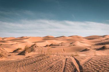 güzel çöl manzarası manzarası, Tunus 'un Sahra çölü, kum tepeleri