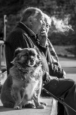 Siyah ve beyaz köpek bir çiftle bankta oturuyor.