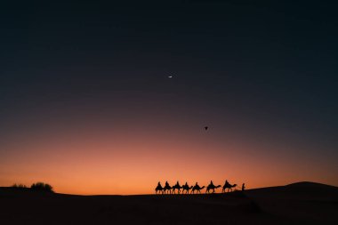 Çölde deve kervanı, Sahra Çölü 'nde gün batımı