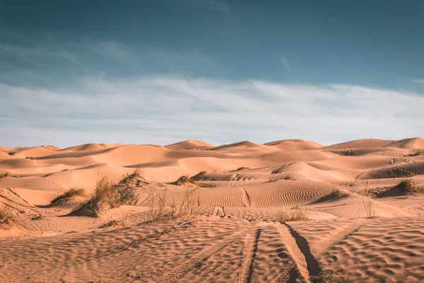 Прекрасний Краєвид Пустелі Пустеля Сахара Тунісі Дюни — стокове фото