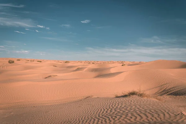 Beautiful Desert Landscape Scenic View — Stock Photo, Image