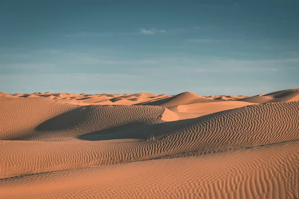 Beautiful Desert Landscape Scenic View — Stock Photo, Image