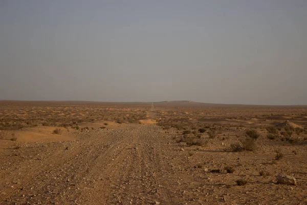 Hermoso Paisaje Del Desierto Vista Panorámica —  Fotos de Stock