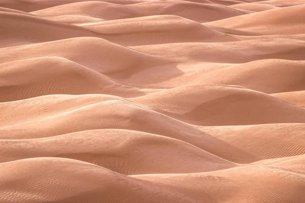 모래의 언덕의 사하라 — 스톡 사진
