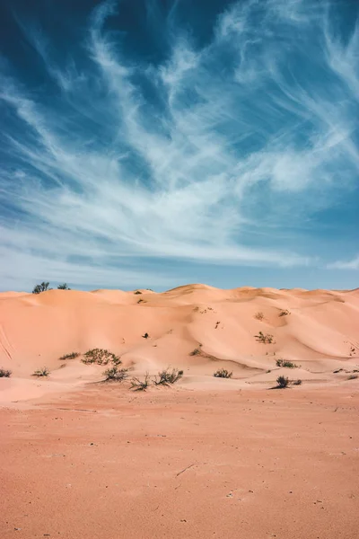 Magnificent Landscape Sahara Desert Morocco Merzouga Splendid Sunset Sand Dunes — Stock Photo, Image