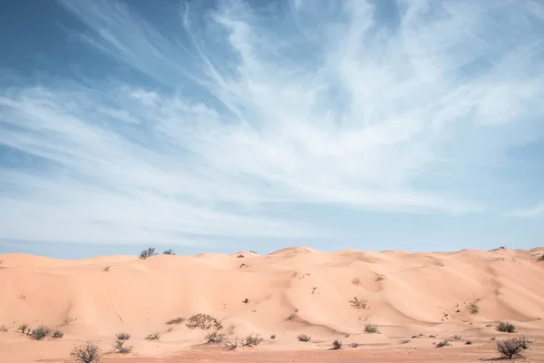 Sand Desert National Park Egypt — Stock Photo, Image