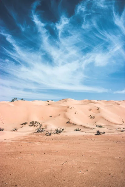 Beach Desert Egypt — Stock Photo, Image