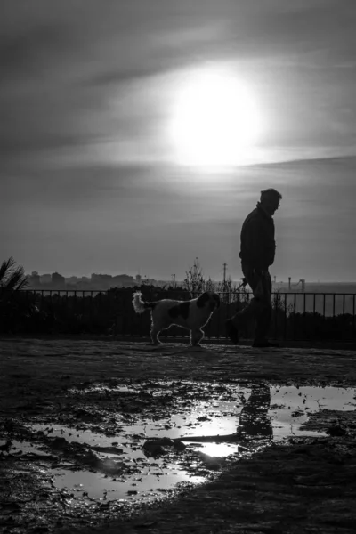 silhouette of a man on the street after rain