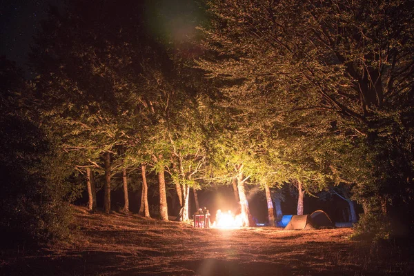 Falò Nel Bosco Ragazzi Avventurosi Nella Foresta — Foto Stock