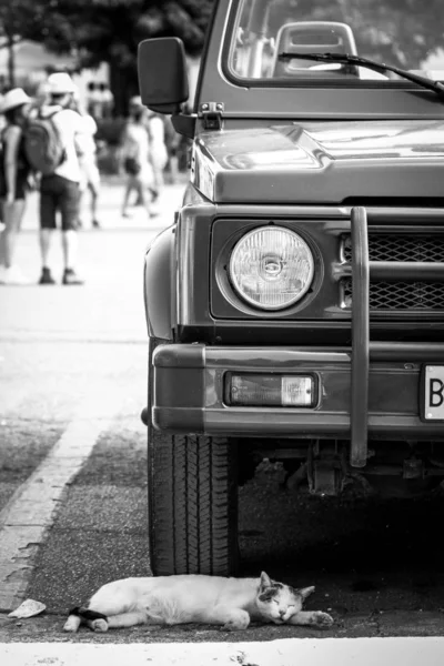 Auto Bianco Nero Strada — Foto Stock