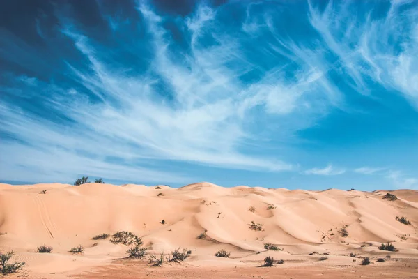 Scenic View Sahara Desert Blue Sky Big Dunes — Stock Photo, Image