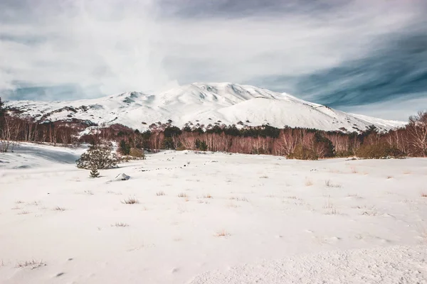 Winterlandschaft Mit Schneebedeckten Bäumen — Stockfoto