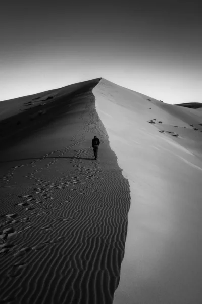 Fekete Fehér Kép Szahara Sivatagról Ember Mászik Egy Dűnén — Stock Fotó