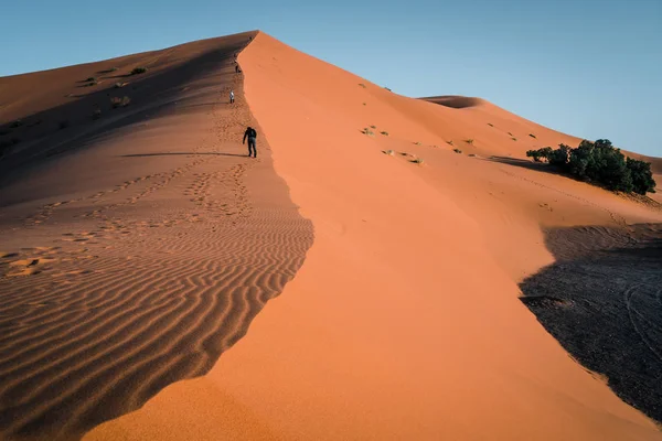 Sand Dunes Morocco Desert Egypt — Stock Photo, Image