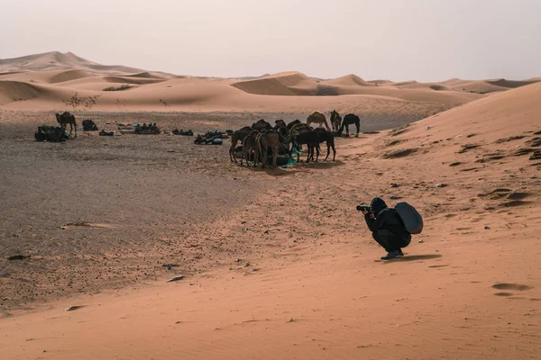 Guy Caminar Tomar Fotos Desierto Del Sahara —  Fotos de Stock