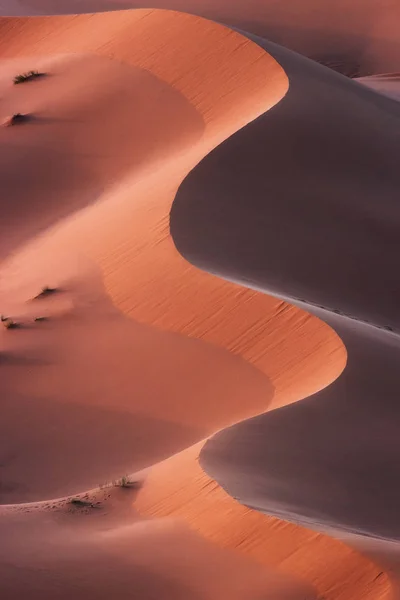 Increíble Forma Dunas Del Desierto Del Sahara Moldeadas Por Viento —  Fotos de Stock