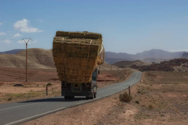 在摩洛哥 卡车载着成捆的干草 不可思议的场景 非洲日常生活中令人难以置信的场景 — 图库照片