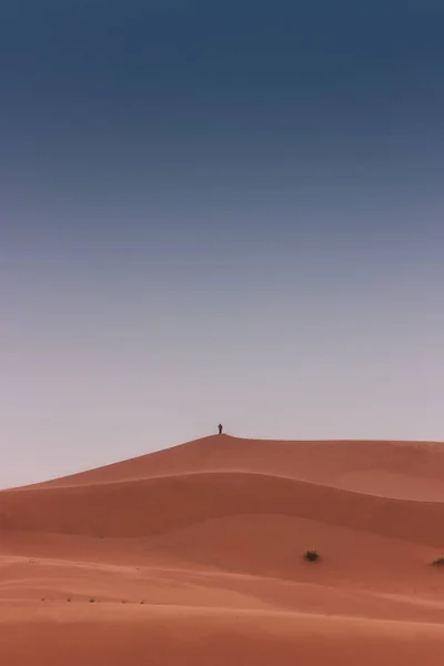 Turistas Que Visitan Desierto Del Sahara Marruecos Merzouga —  Fotos de Stock