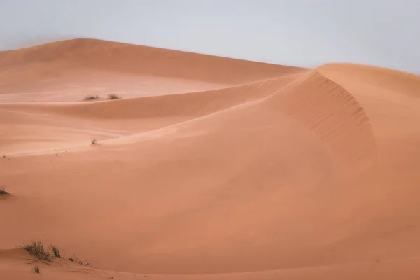 Paisagem Incrível Deserto Saara Merzouga Marrocos Linda Viagem Aventura Entre — Fotografia de Stock
