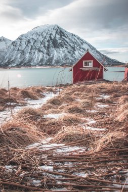 Norveç 'te eski ahşap evler, karlı dağlar ve deniz.
