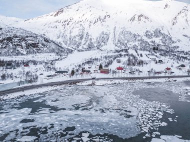 Karla kaplı ağaçlarla kaplı kış manzarası