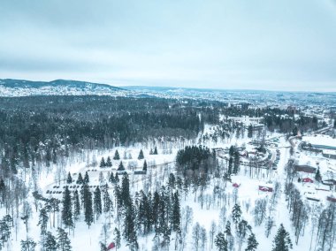 Yukarıdan Oslo, Norveç 'in karlı şehrinin havadan görünüşü