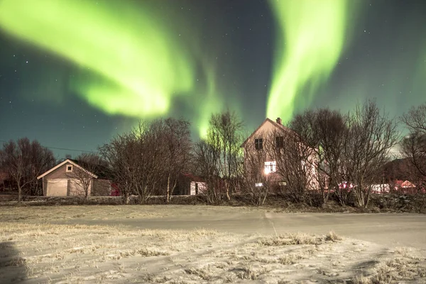 Norrsken Fantastisk Natur Vacker Utsikt Vinternatt Lofoten Öarna — Stockfoto