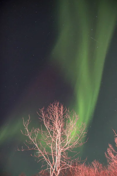 Auroras Boreales Increíble Naturaleza Vista Panorámica —  Fotos de Stock