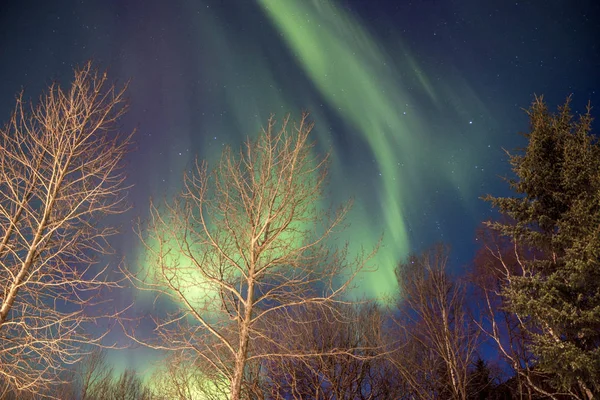 Auroras Boreales Increíble Naturaleza Vista Panorámica —  Fotos de Stock