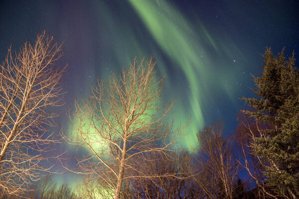 northern lights amazing nature scenic view 