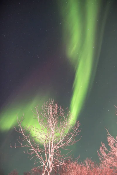 Auroras Boreales Increíble Naturaleza Vista Panorámica —  Fotos de Stock