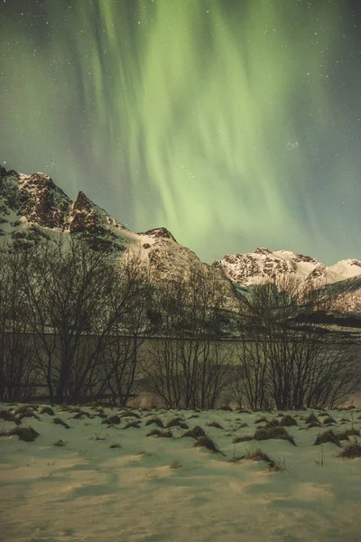 Auroras Boreales Increíble Naturaleza Vista Panorámica — Foto de Stock