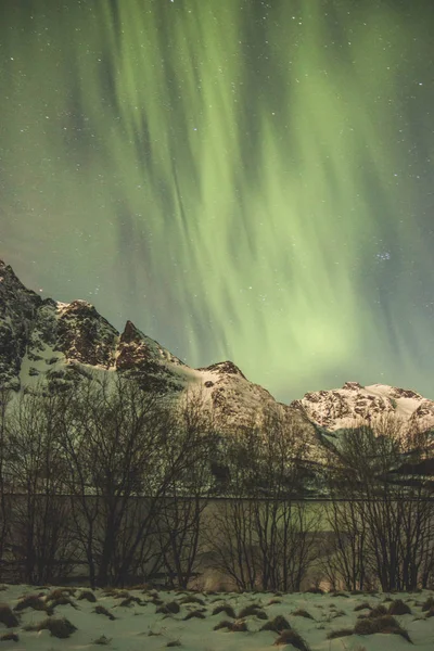 Auroras Boreales Increíble Naturaleza Vista Panorámica —  Fotos de Stock