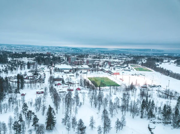 Oslo Dall Alto Veduta Aerea Della Città Coperta Neve Norvegia — Foto Stock