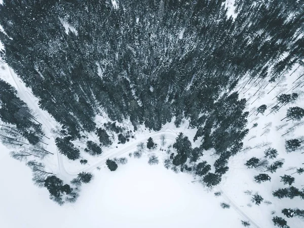 Снігові Покриті Дерева Зверху — стокове фото