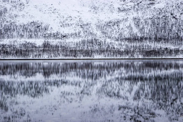 Reflejo Del Agua Lago — Foto de Stock