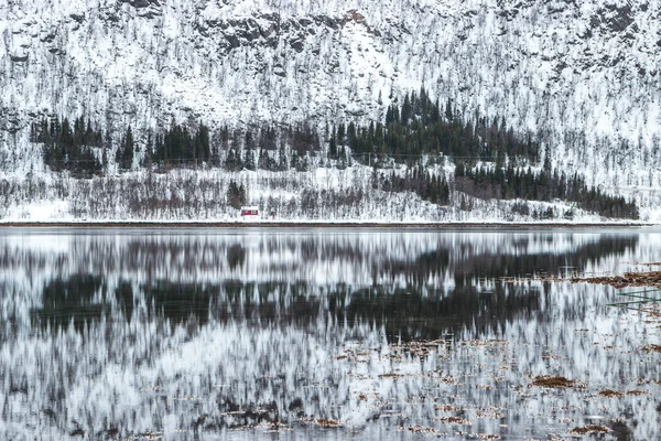 Réflexion Sur Eau Sur Lac — Photo