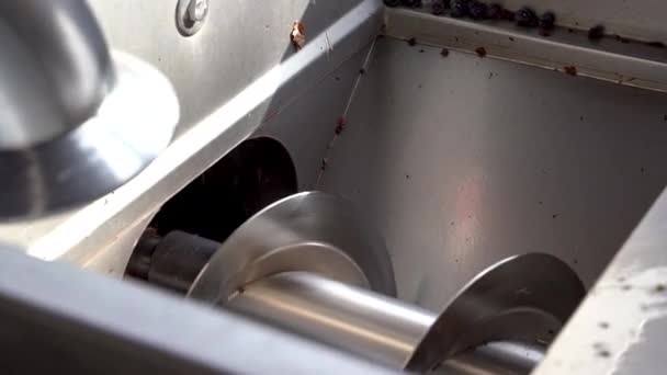 Pressage Grappes Raisins Dans Destemmer Pour Obtenir Moût Vin — Video