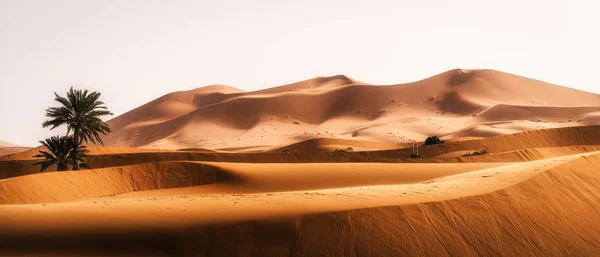 Well Desert Sahara Desert Morocco Panoramic Image — Stock Photo, Image