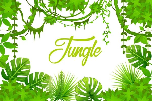 Jungle Liana Rainforest Tropical Vector Background — Stock Vector