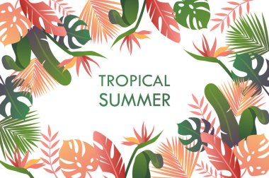 yaz tropikal arka plan. renkli tropikal bitkiler ve çiçekler. vektör illüstrasyon